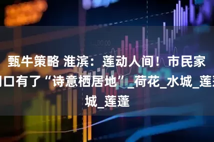 甄牛策略 淮滨：莲动人间！市民家门口有了“诗意栖居地”_荷花_水城_莲蓬