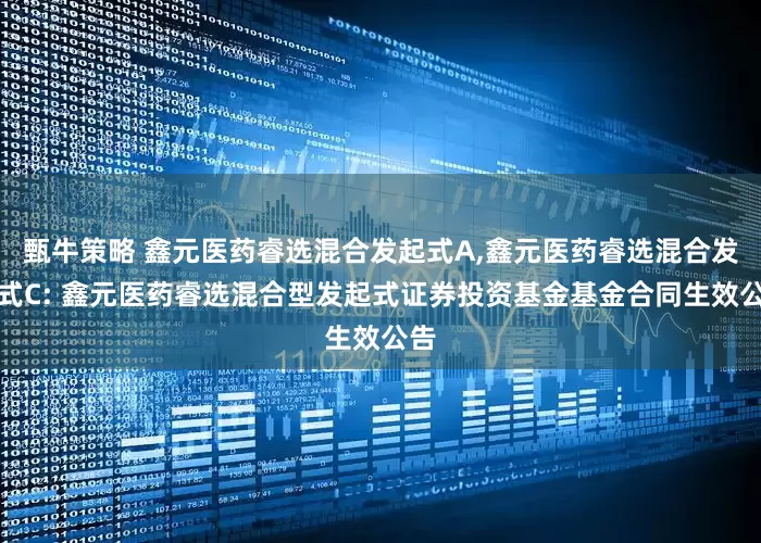 甄牛策略 鑫元医药睿选混合发起式A,鑫元医药睿选混合发起式C: 鑫元医药睿选混合型发起式证券投资基金基金合同生效公告